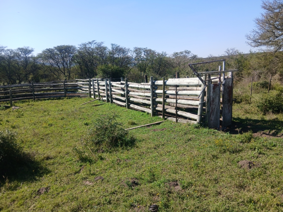 0 Bedroom Property for Sale in Kei Road Eastern Cape